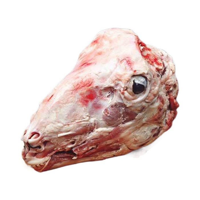 Donuk Kuzu Kelle Adet