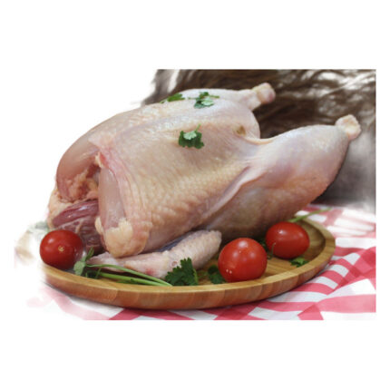 Köy Tavuğu Şoksuz